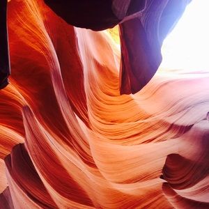 Meet your Posher, Daphne